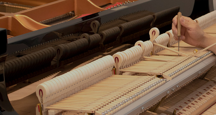 MEP 宮地ユーロピアノクラブ 会員サポート