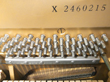 高音ピンクリーニング前