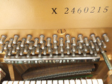 高音ピンクリーニング後