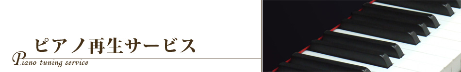 ピアノ再生サービス