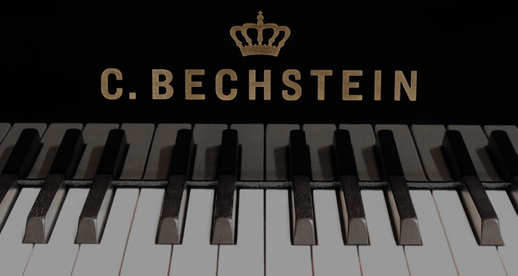 ベヒシュタイン