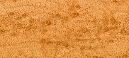 バーズ・アイ・メープル