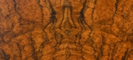 バール・ウォルナット